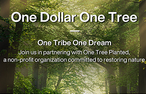 补登：关注情形；，践行低碳理念