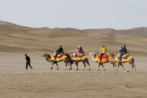 门徒娱乐(中国)官网登录入口